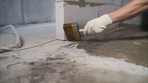 24/7 Emergency Crawl Space Encapsulation experts in Etowah, TN
